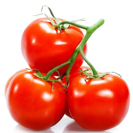 Fresh Tomatoes
